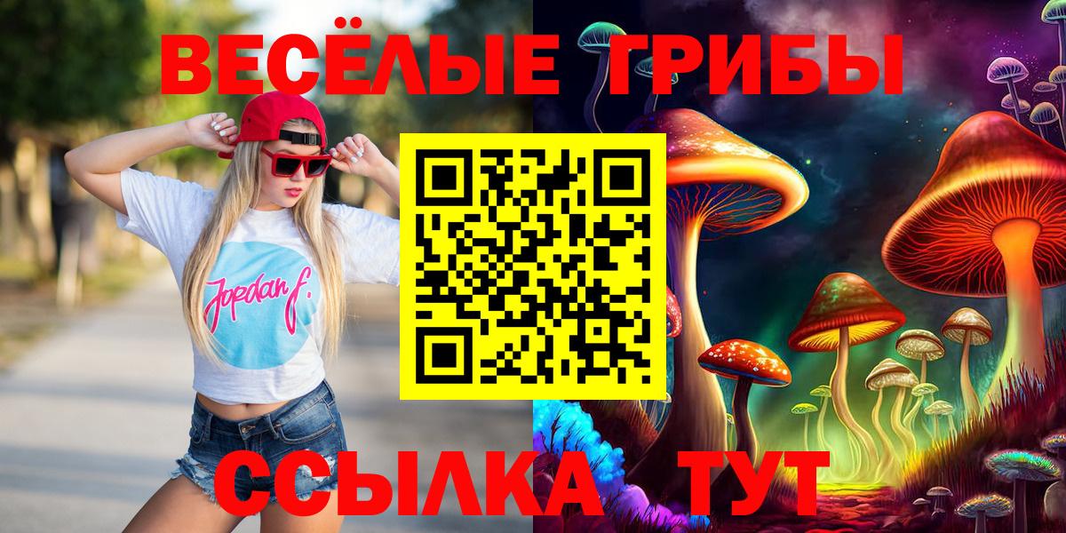 Галлюциногенные грибы Psilocybe Балашов